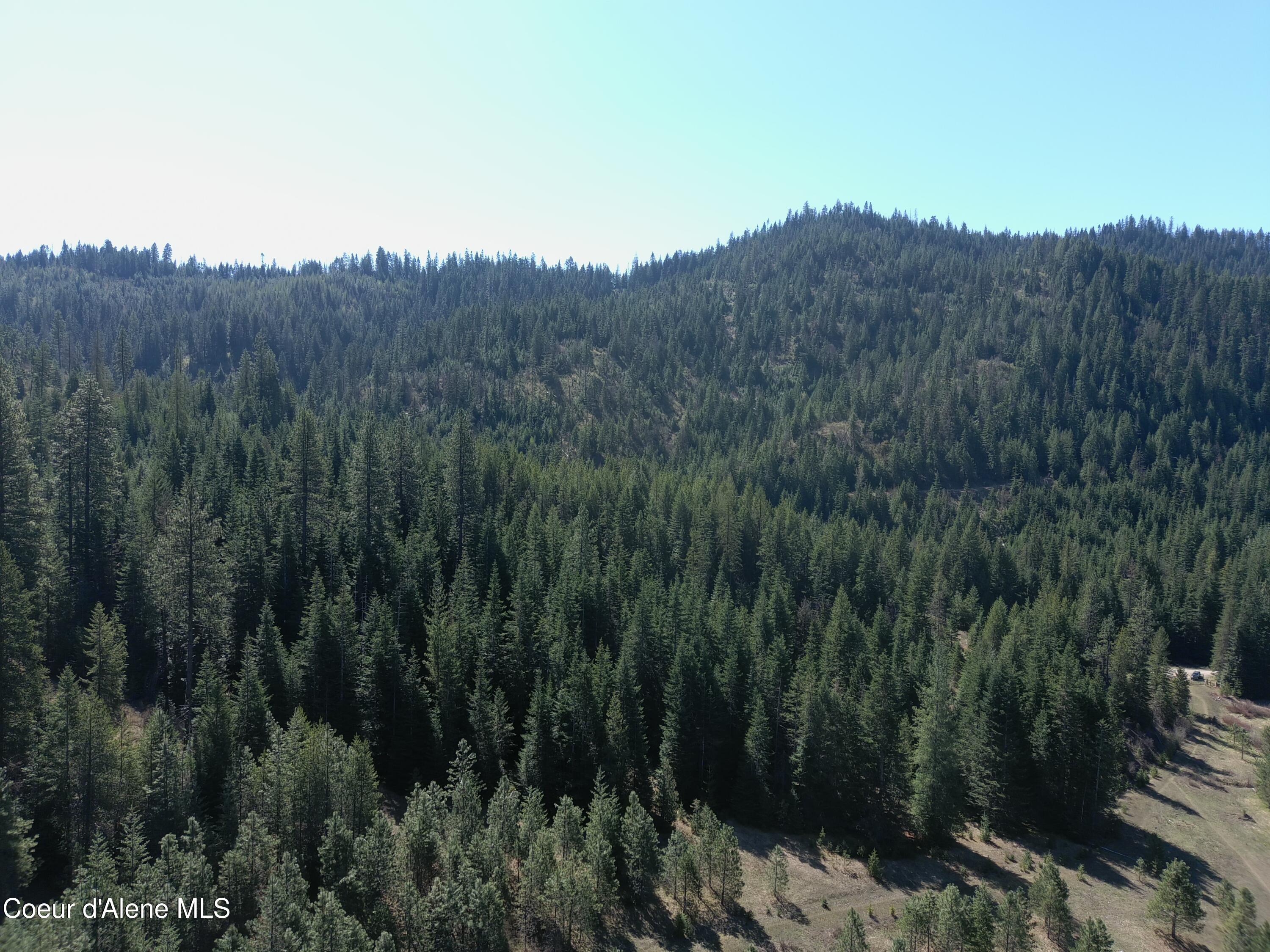 Carlin Creek Road, Unit 256 Harrison, ID 83833 - Photo 14 of 31 MAX_0010