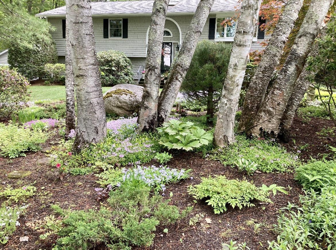 302 Dockham Shore Road Gilford, NH 03249 - Photo 33 of 49