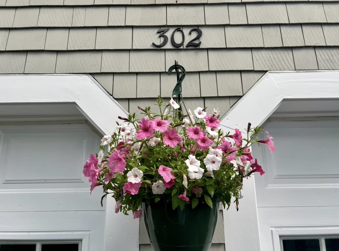 302 Dockham Shore Road Gilford, NH 03249 - Photo 49 of 49