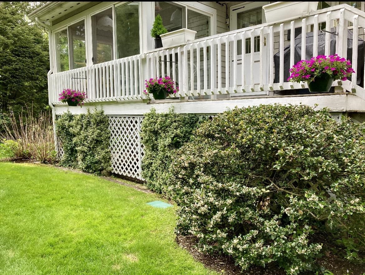 302 Dockham Shore Road Gilford, NH 03249 - Photo 5 of 49