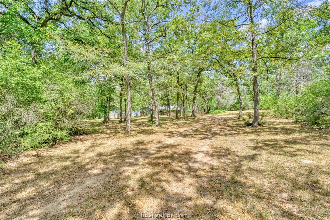 9409 Haney Road Franklin, TX 77856 - Photo 6 of 50 Gallery Image 6
