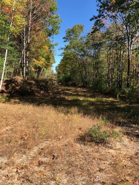 Lot 1 Saco Road Hollis Center, ME 04042 - Photo 3 of 3 Lot1Access