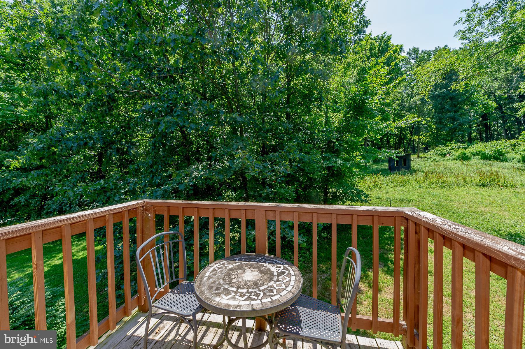 1535 Bowersox Road New Windsor, MD 21776 - Photo 22 of 30 View- From Master Suite