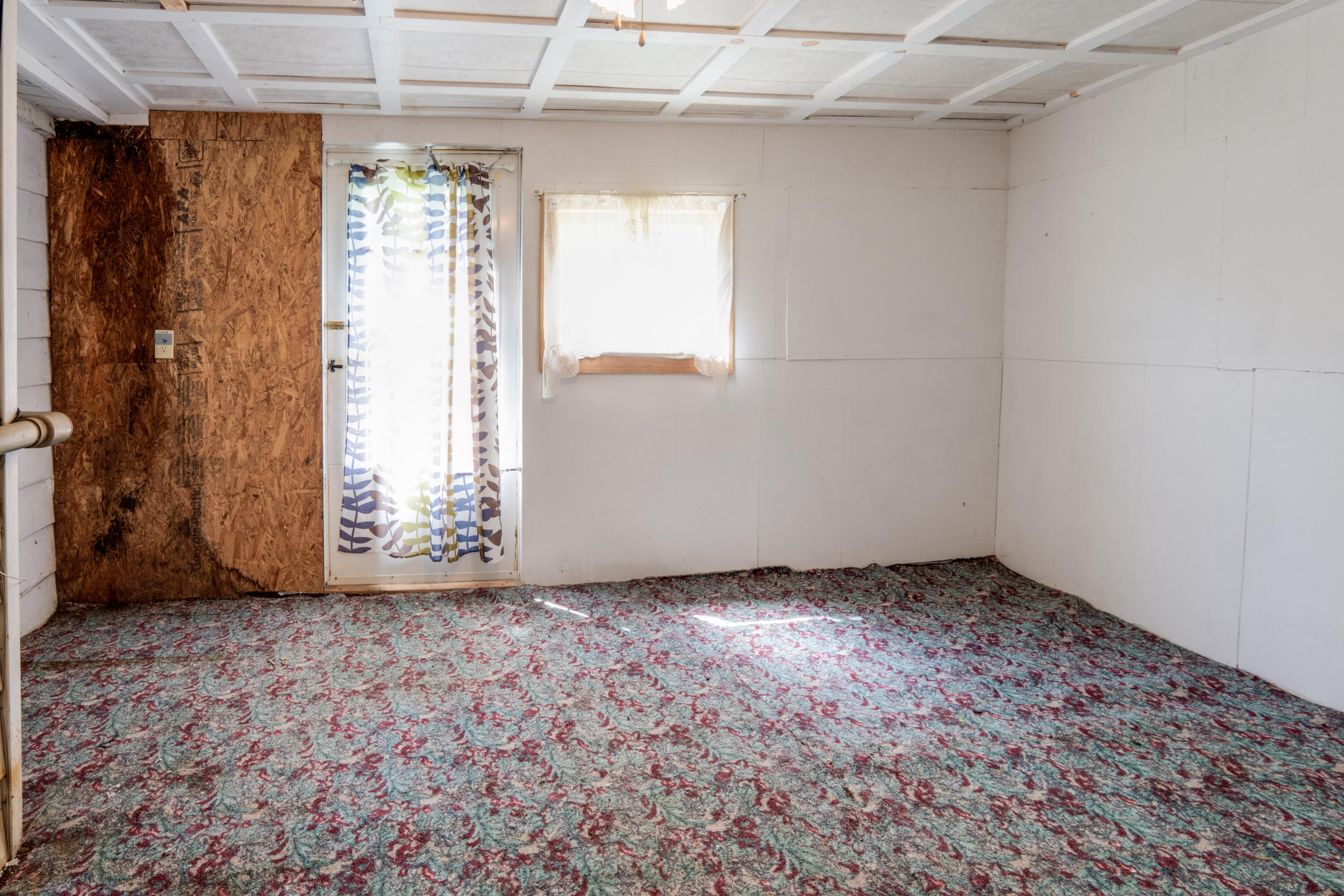 730 Houston Valley Road Greeneville, TN 37743 - Photo 39 of 68 DanielleRickerPhotography-15