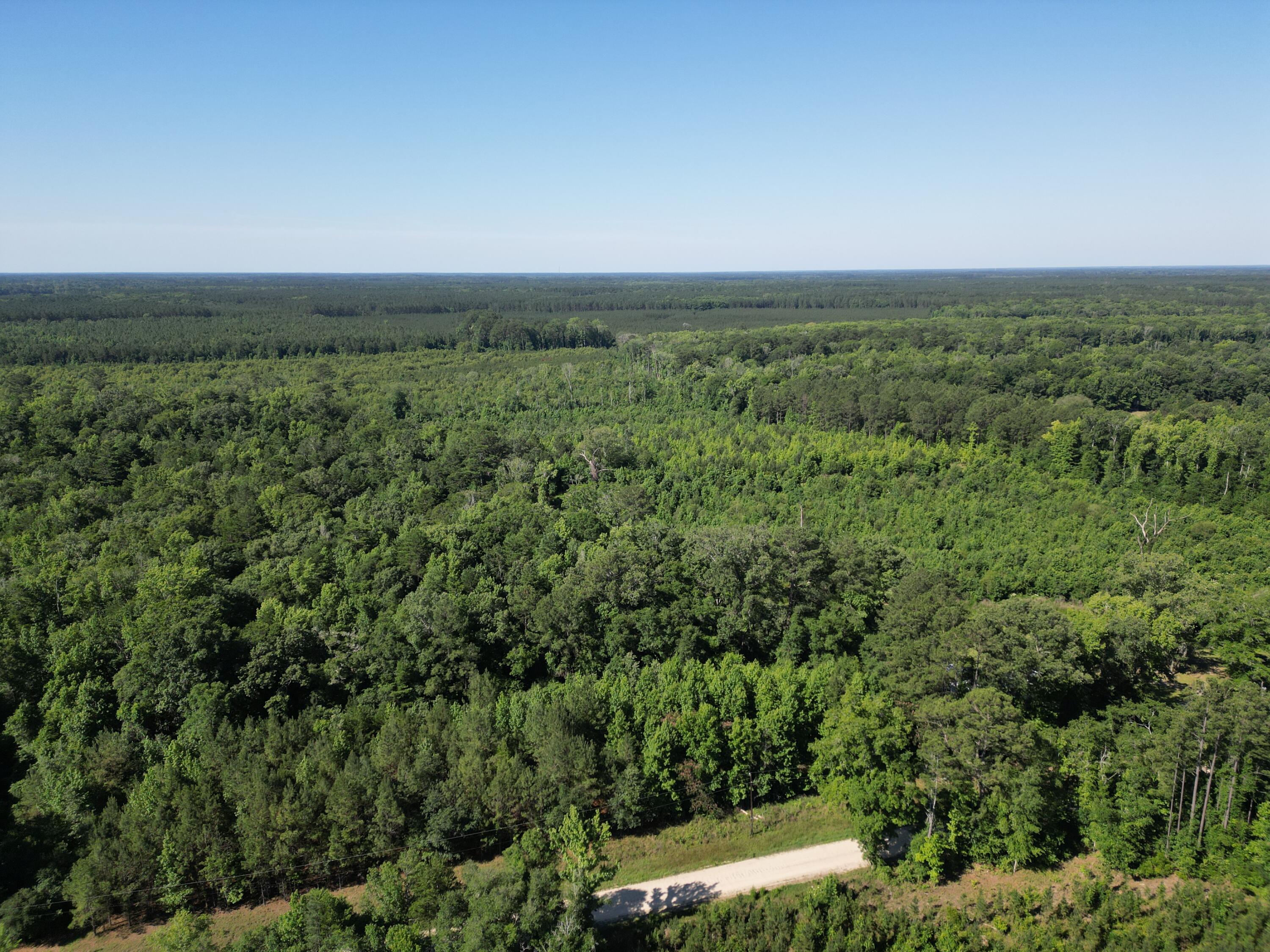 0 Hyde Park Road Adams Run, SC 29426 - Photo 12 of 12 dji_fly_20260514_050936_164_178137492750