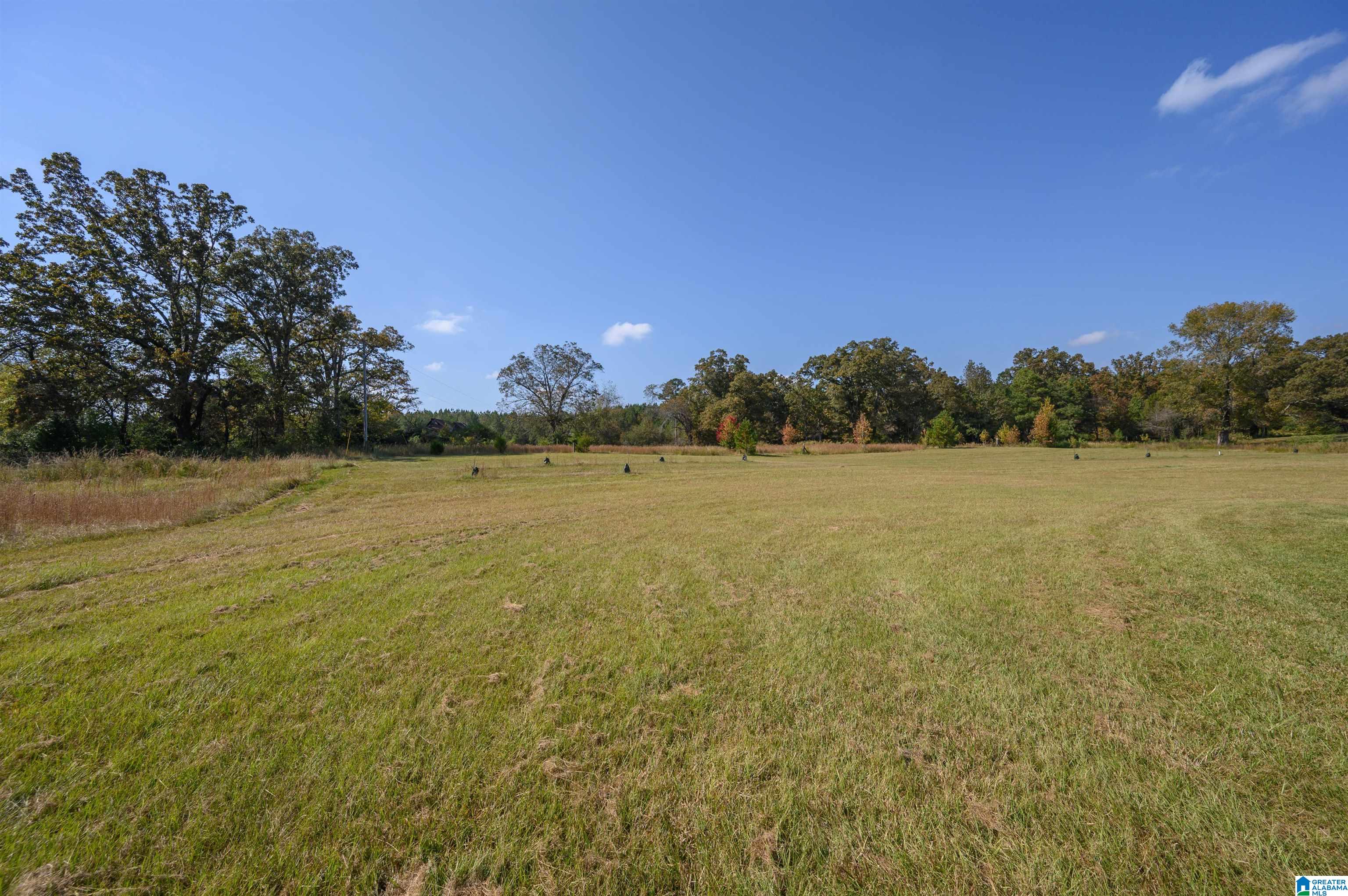 277 Jackson Farm Road Wilsonville, AL 35186 - Photo 52 of 68