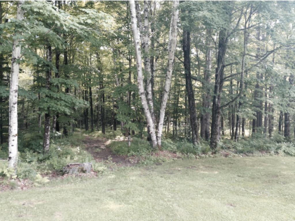600 Old Farm Road Burke, VT 05871 - Photo 15 of 16 Gallery Image 15