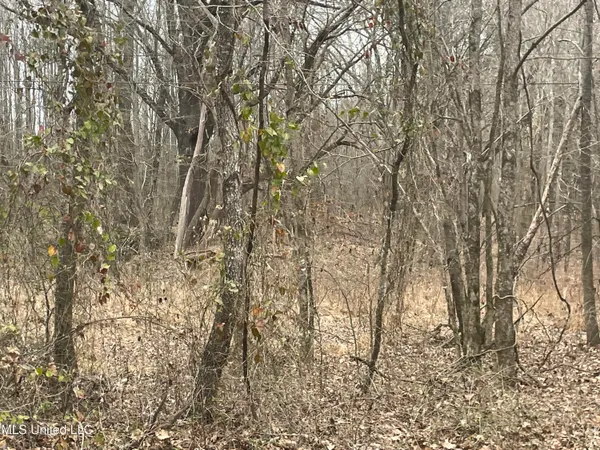 $79,900 | Looxahoma Tyro Road, Senatobia, MS 38668