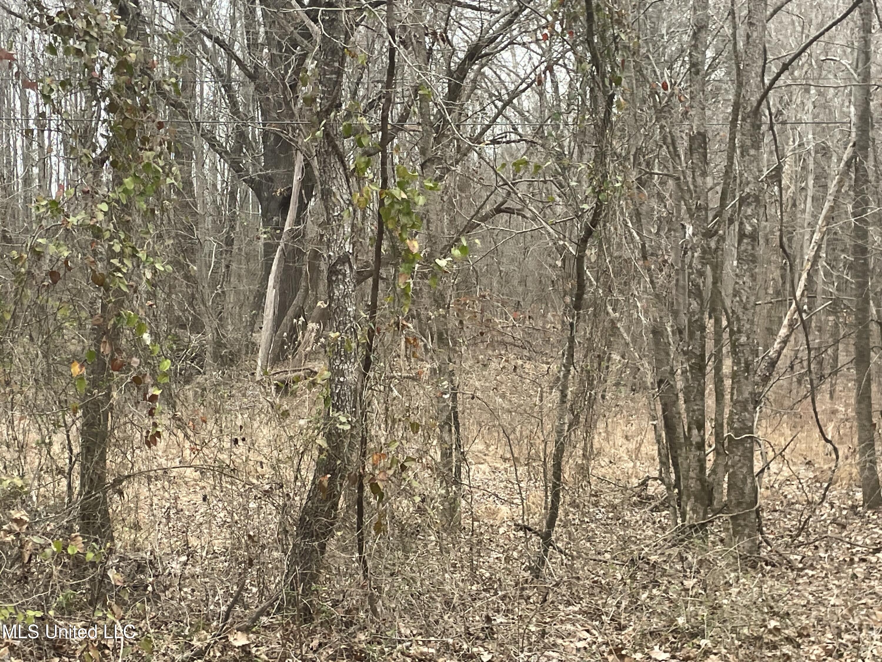 Looxahoma Tyro Road Senatobia, MS 38668 - Photo 4 of 6 IMG_2772