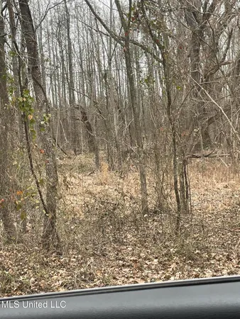 $79,900 | Looxahoma Tyro Road, Senatobia, MS 38668