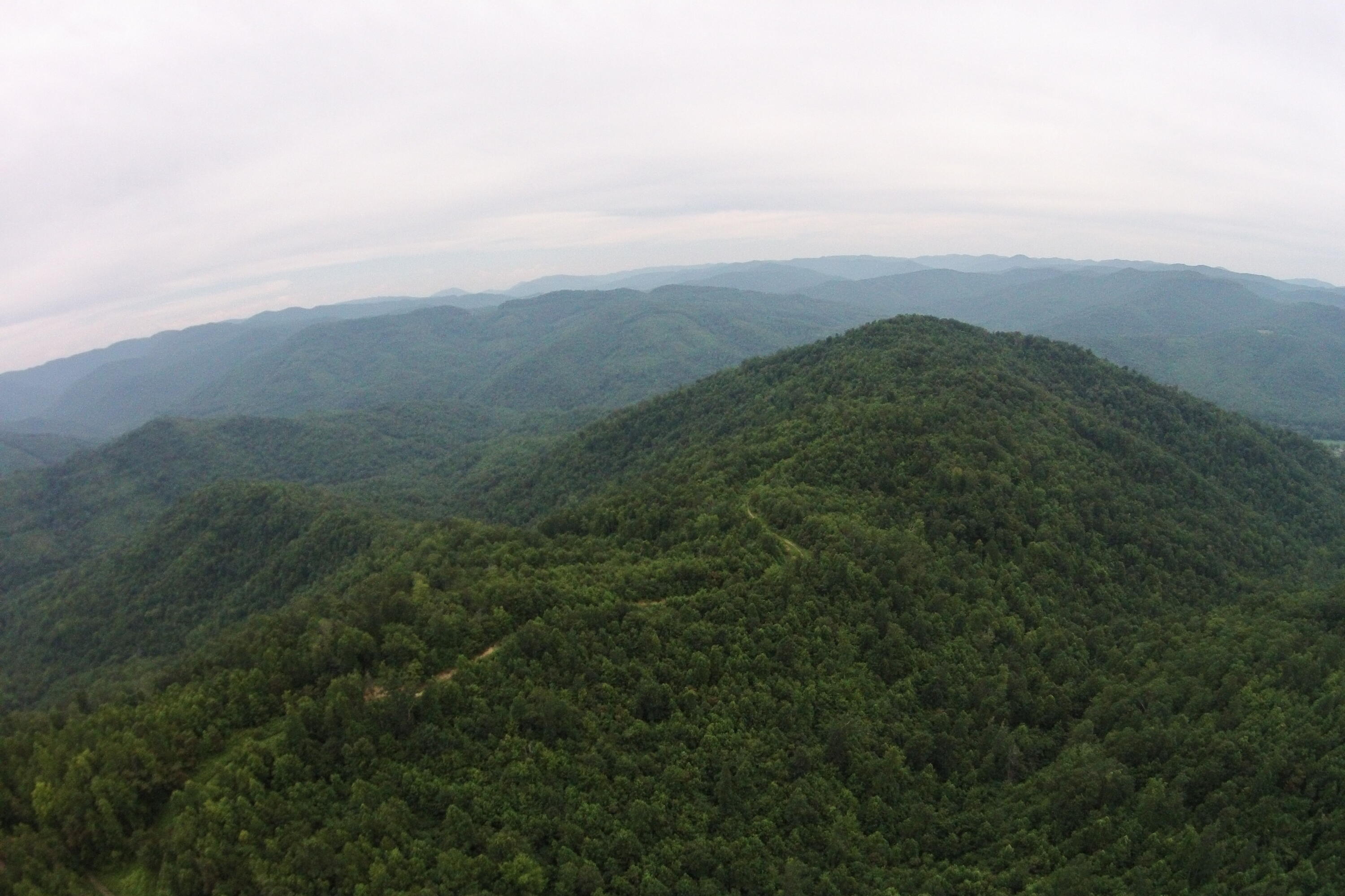 2 Straight Fork Road, Unit TRACT 2 Huntsville, TN 37756 - Photo 6 of 13 Mountain View Tract2 (1)