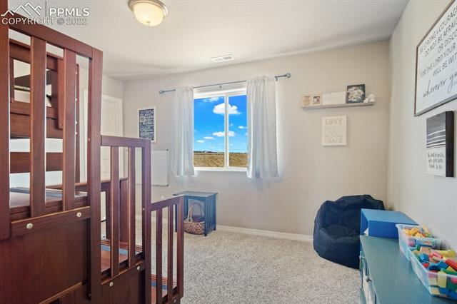 8461 Salt Brush Road Colorado Springs, CO 80908 - Photo 18 of 30 Gallery Image 18