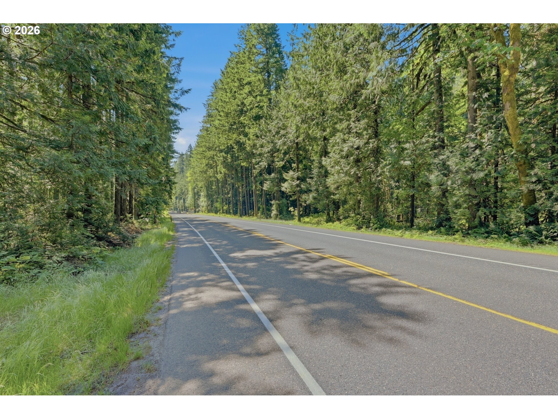 East John Lake Road Rhododendron, OR 97049 - Photo 10 of 16