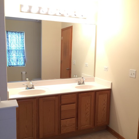 562 Wynbrooke Road Romeoville, IL 60446 - Photo 19 of 24 a bathroom with a double vanity sink and a mirror