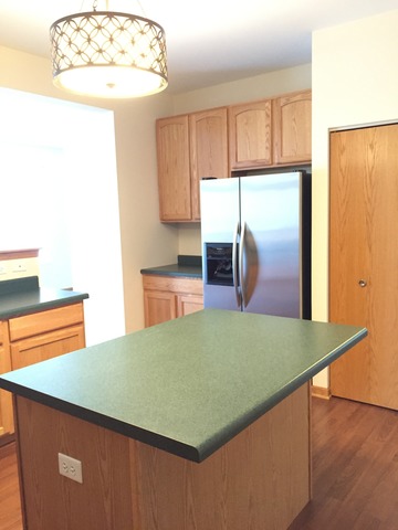 562 Wynbrooke Road Romeoville, IL 60446 - Photo 9 of 24 a view of cabinets