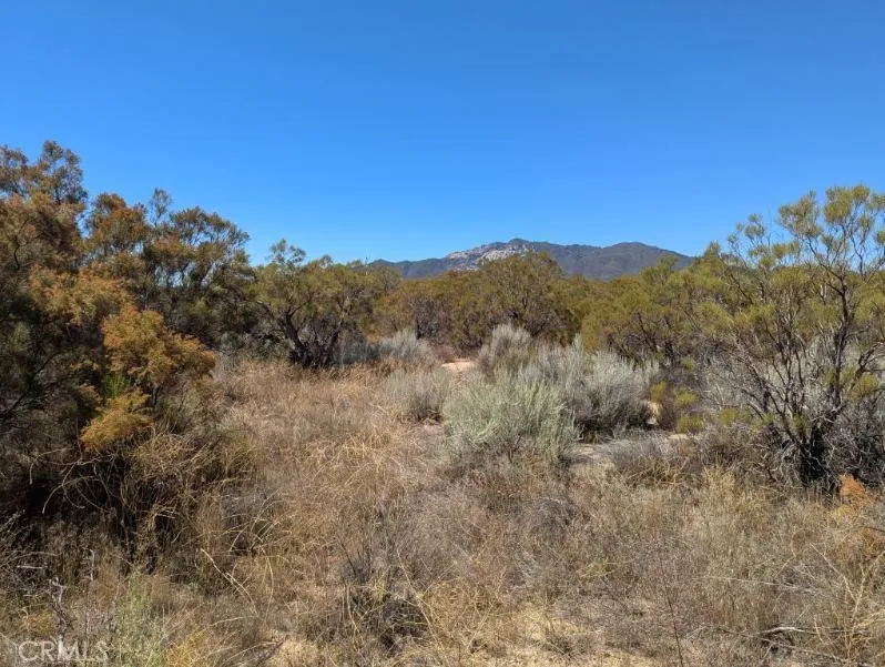 0 Pony Anza, CA 92539 - Photo 19 of 23