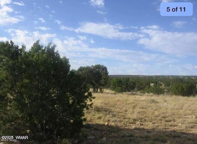Lot 361 Chevelon Canyon Ranch Heber, AZ 85928 - Photo 2 of 2 a view of lake with mountain