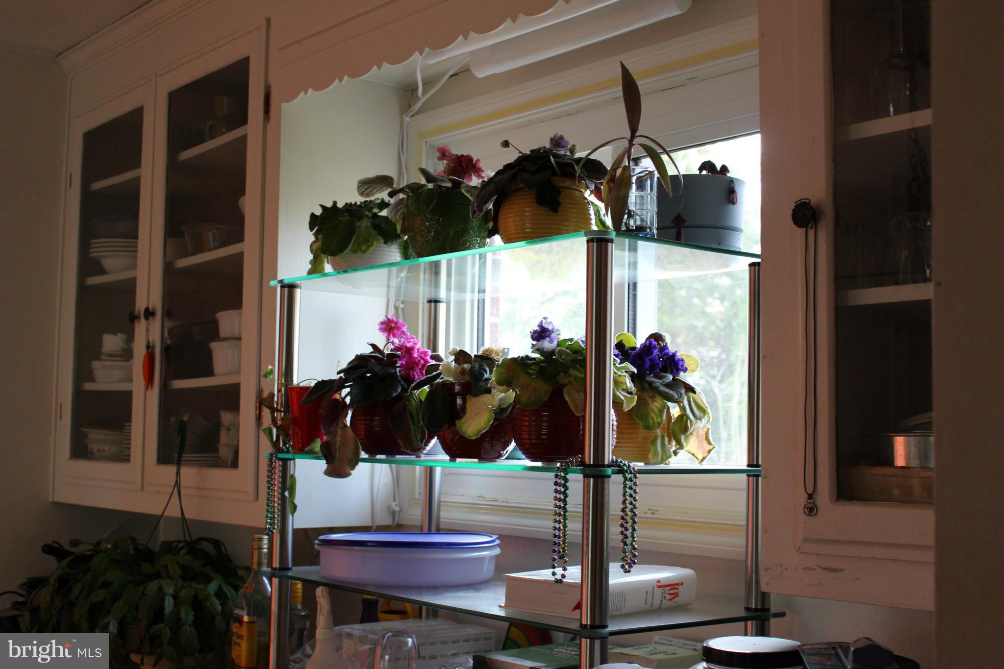 1901 Branston Road Catonsville, MD 21228 - Photo 6 of 11 Glass front blt-ins