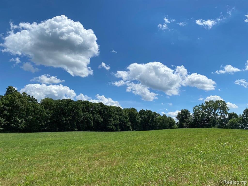 0 Lahring Road Linden, MI 48451 - Photo 2 of 10 Gallery Image 2