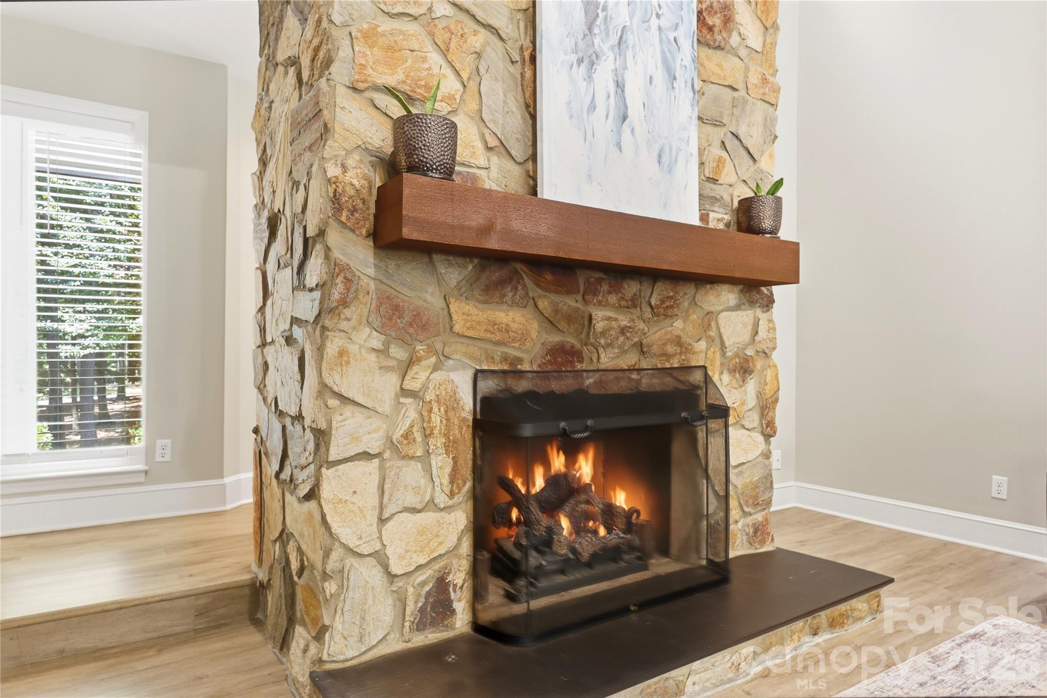 229 Cari Lane Matthews, NC 28104 - Photo 8 of 48