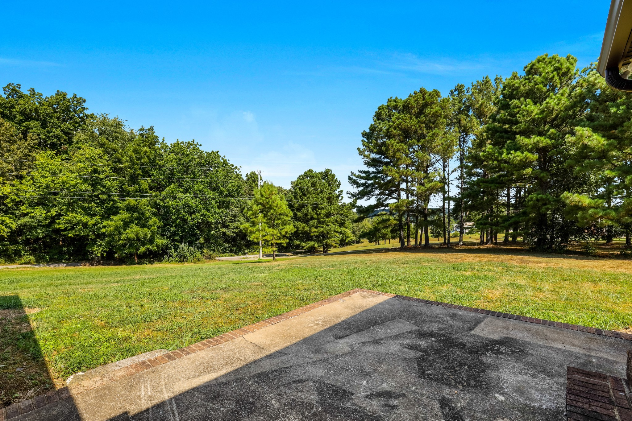 239 Wayne Threatt Road Dover, TN 37058 - Photo 10 of 41 a view of a big yard with a large trees
