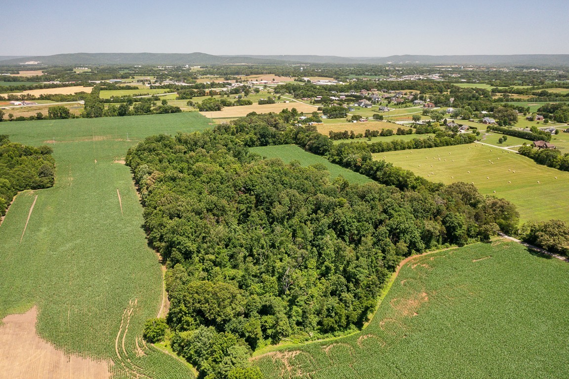 481 Winding Path Winchester, TN 37398 - Photo 58 of 82