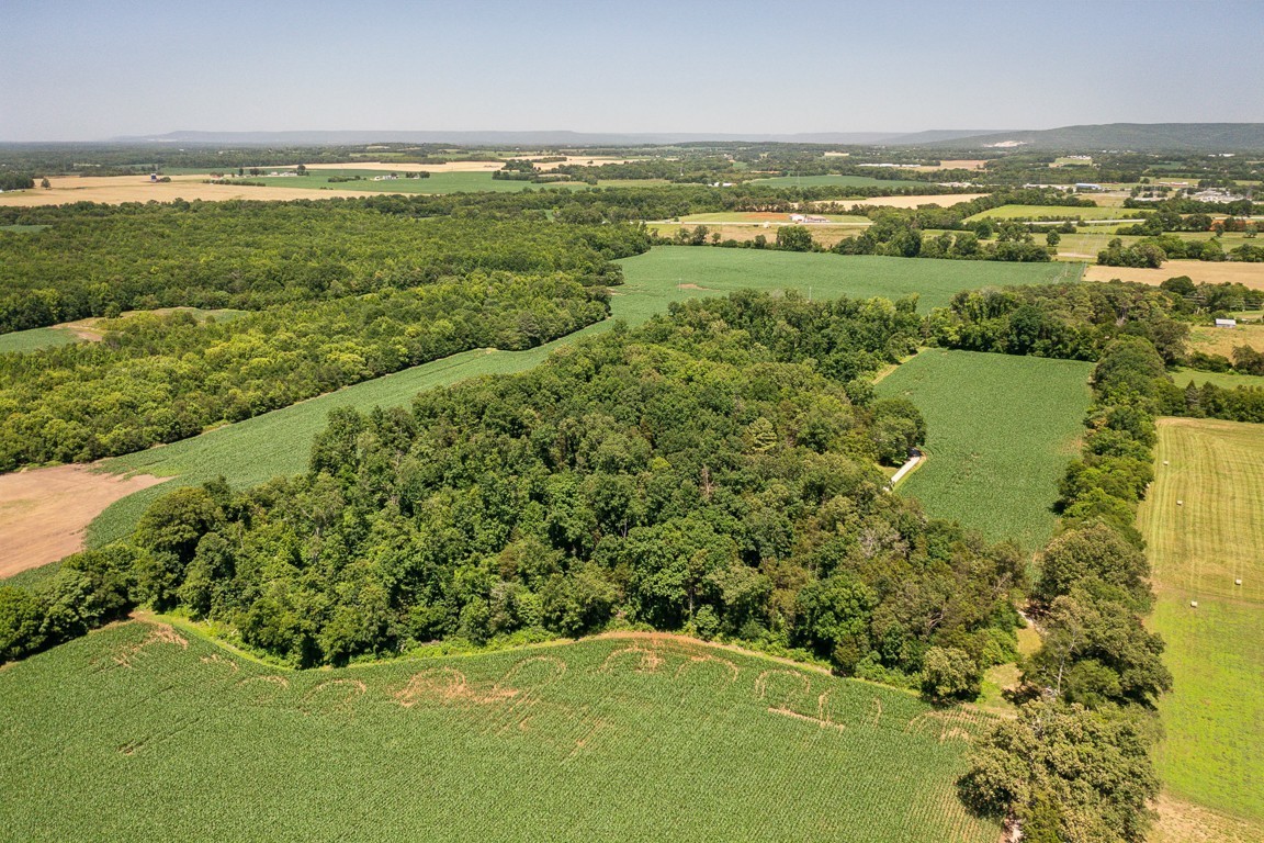 481 Winding Path Winchester, TN 37398 - Photo 59 of 82