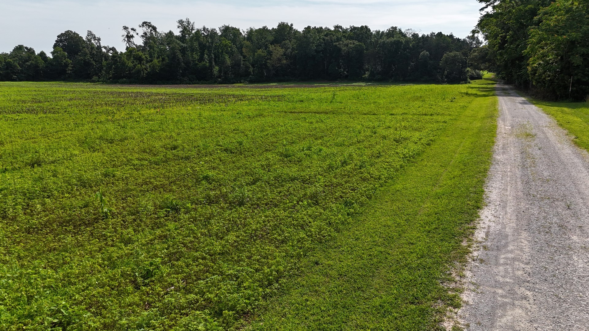 481 Winding Path Winchester, TN 37398 - Photo 73 of 82