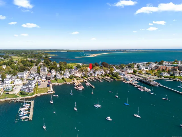 a view of a garden with a slide