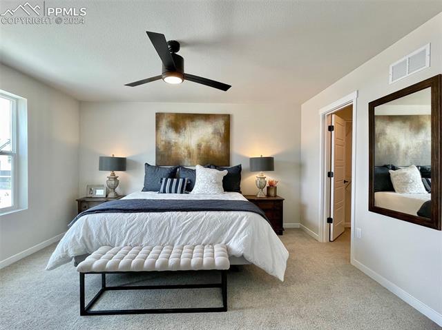 17637 Lemon Rye Loop Monument, CO 80132 - Photo 16 of 18 Gallery Image 16