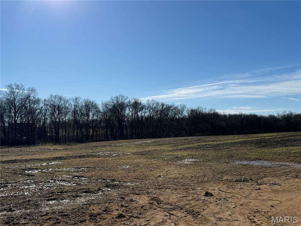 305 Timberline Court Eolia, MO 63344 - Photo 5 of 5