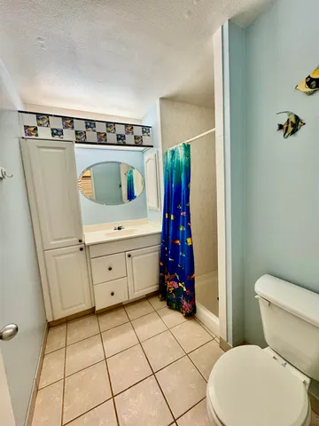 a white toilet sitting next to a shower curtain
