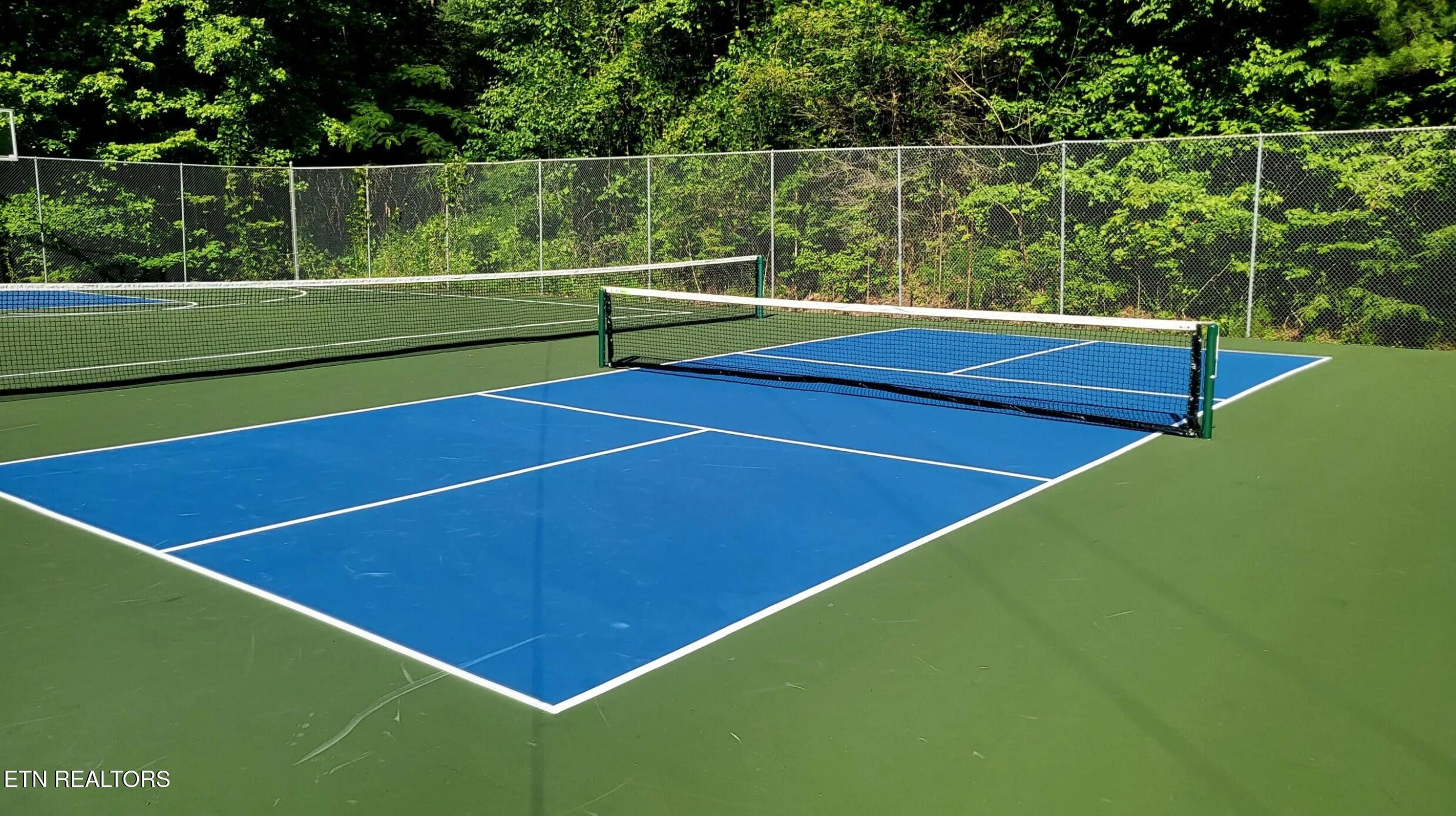 3031 Hatcher Top Road Sevierville, TN 37862 - Photo 19 of 21 tennis