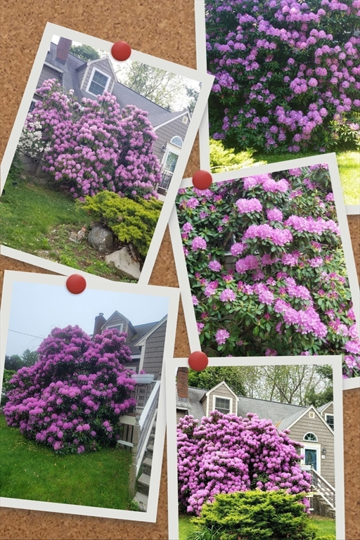 4 Laurel Street Woburn, MA 01801 - Photo 37 of 40 unknown