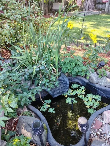 a bunch of flowers in a garden