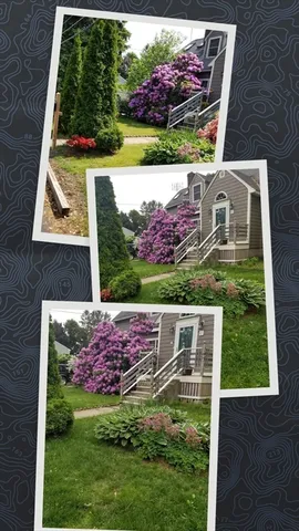 front view of house with a yard