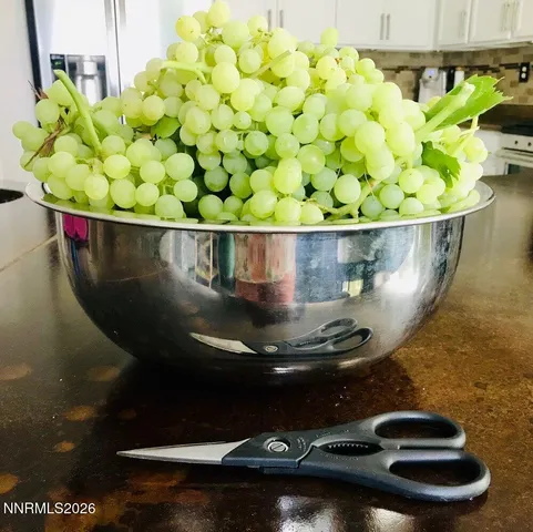 $700,000 | 4301 Pinnacle Vista Court, Sparks, NV 89436