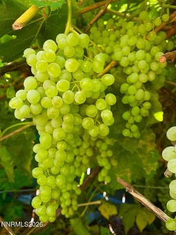 $700,000 | 4301 Pinnacle Vista Court, Sparks, NV 89436