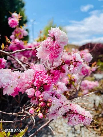 $700,000 | 4301 Pinnacle Vista Court, Sparks, NV 89436