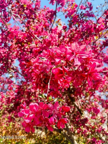 $700,000 | 4301 Pinnacle Vista Court, Sparks, NV 89436