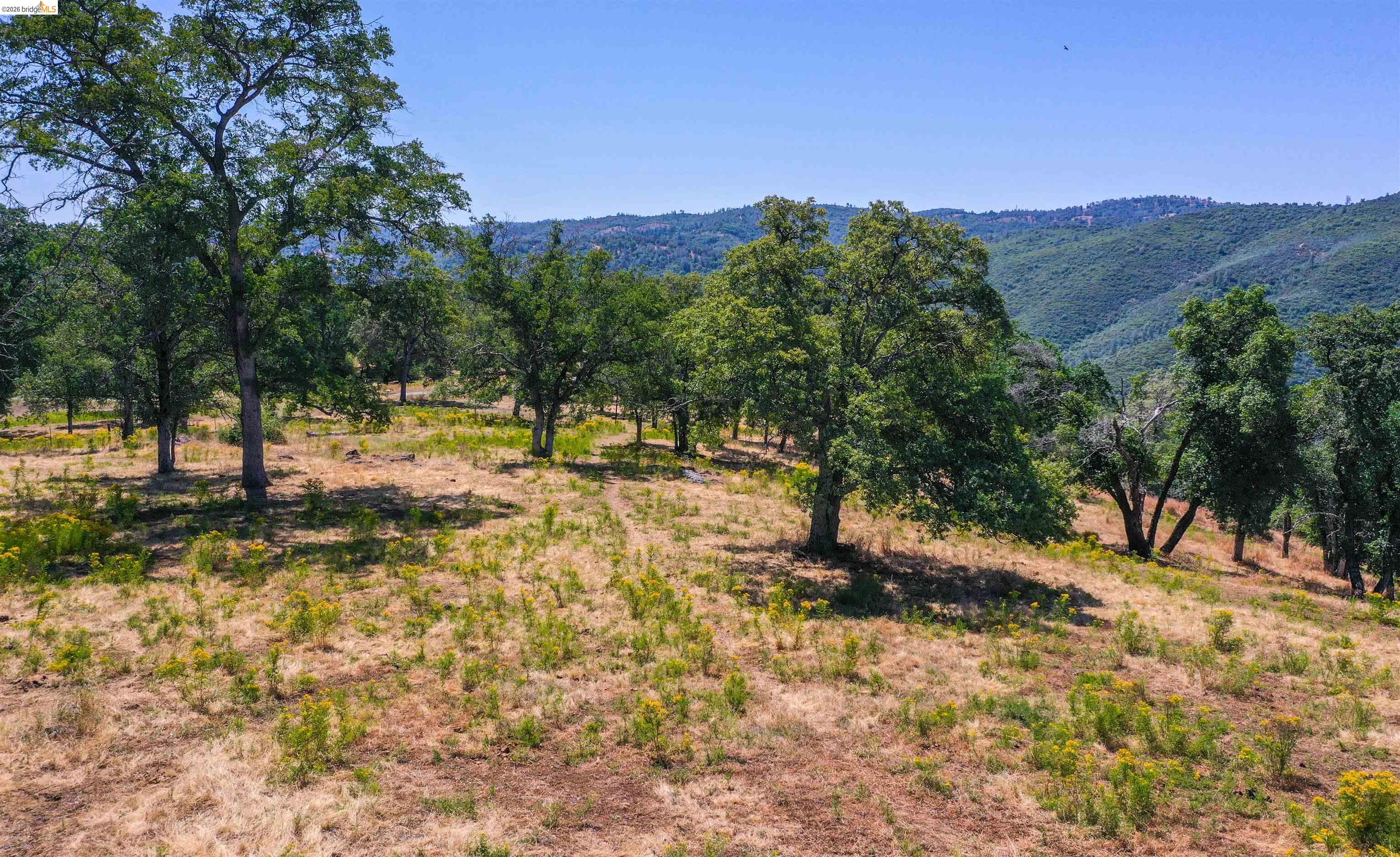 45-ac Powell Ranch Road Sonora, CA 95370 - Photo 5 of 20