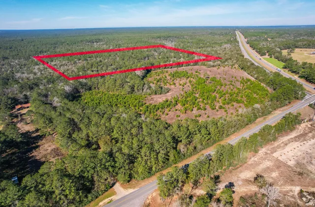 a view of a flower garden with a small pool