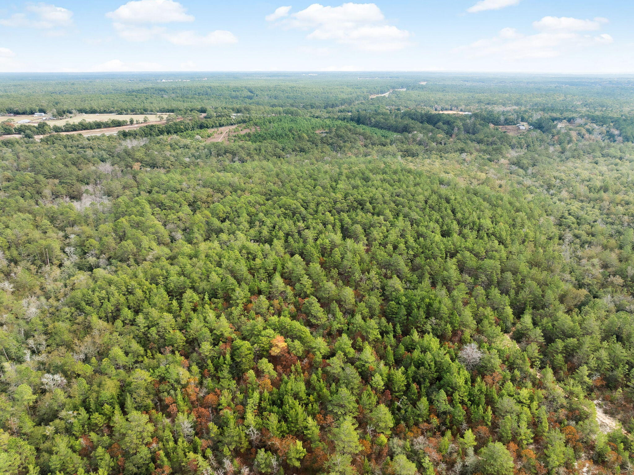 0 Boy Scout Road DeFuniak Springs, FL 32435 - Photo 11 of 27 an aerial view of residential houses with outdoor space and trees
