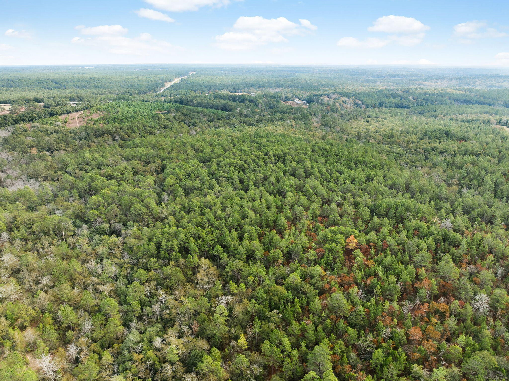 0 Boy Scout Road DeFuniak Springs, FL 32435 - Photo 13 of 27 an aerial view of houses covered in trees