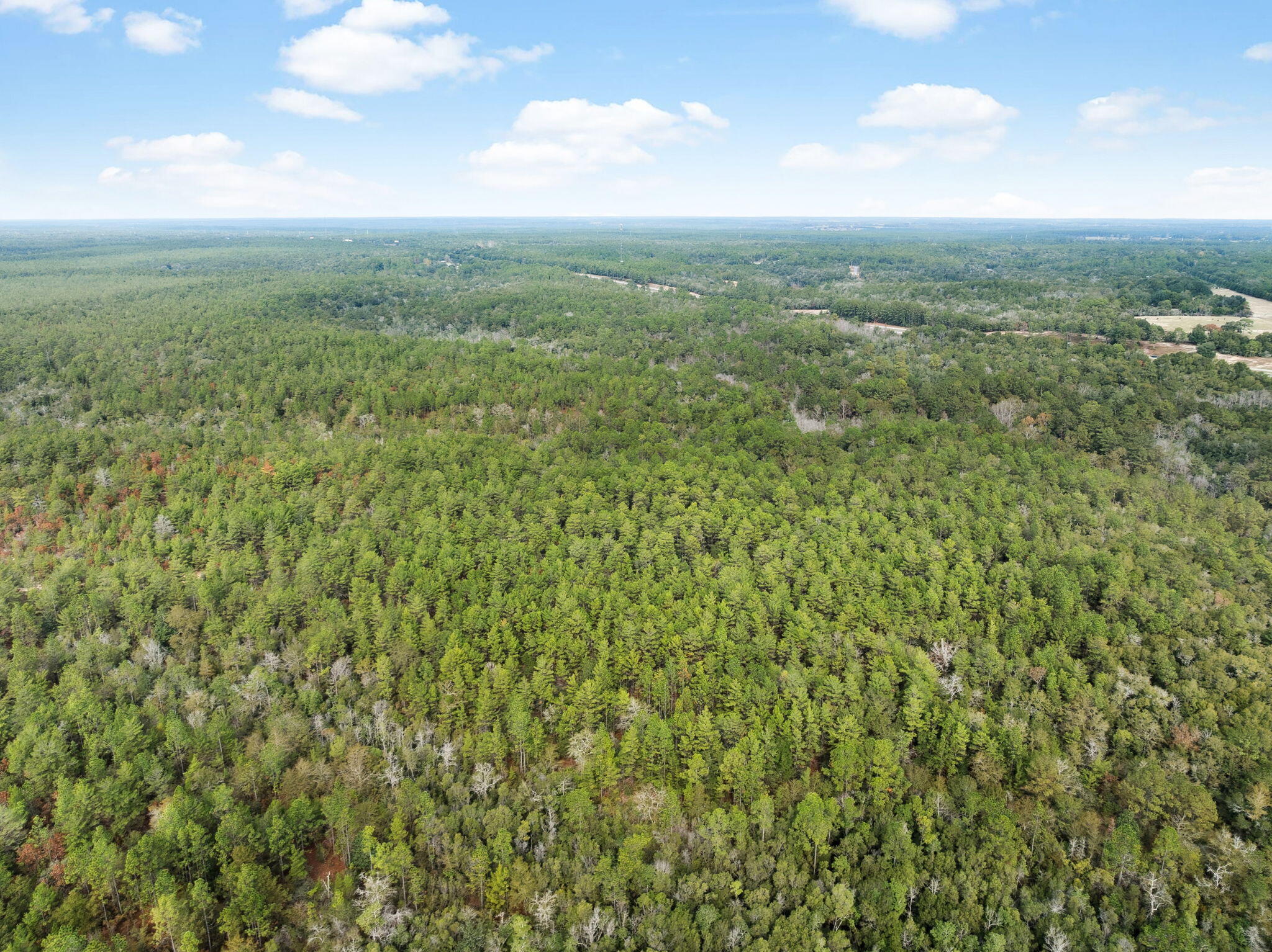 0 Boy Scout Road DeFuniak Springs, FL 32435 - Photo 15 of 27 a view of a city with lush green forest