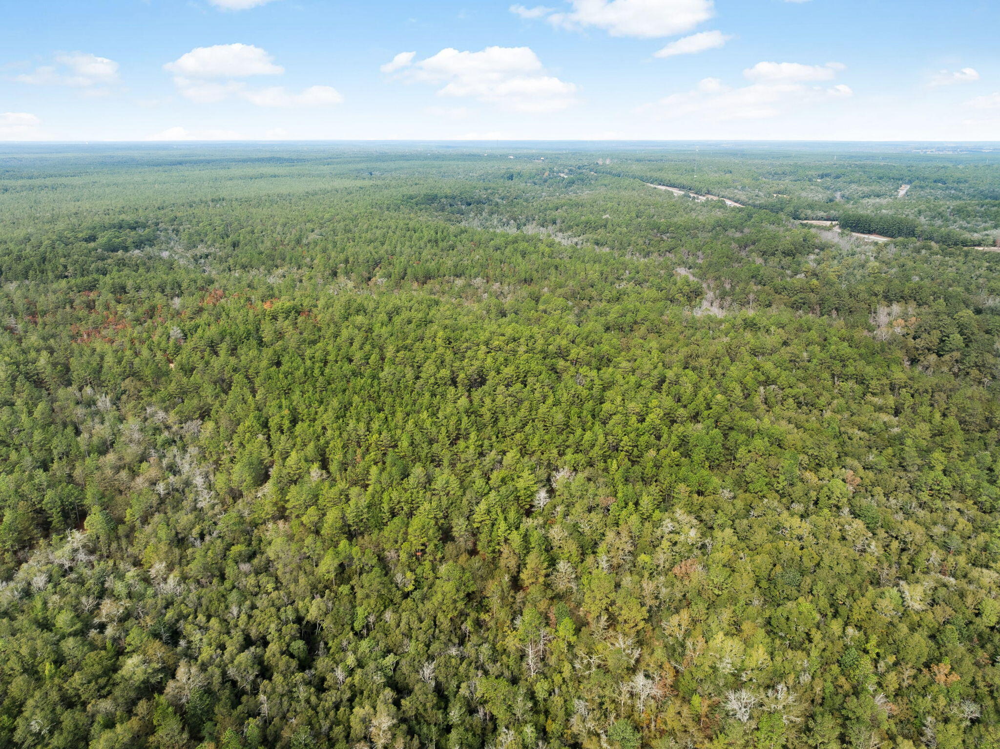 0 Boy Scout Road DeFuniak Springs, FL 32435 - Photo 16 of 27 an aerial view of residential houses with outdoor space