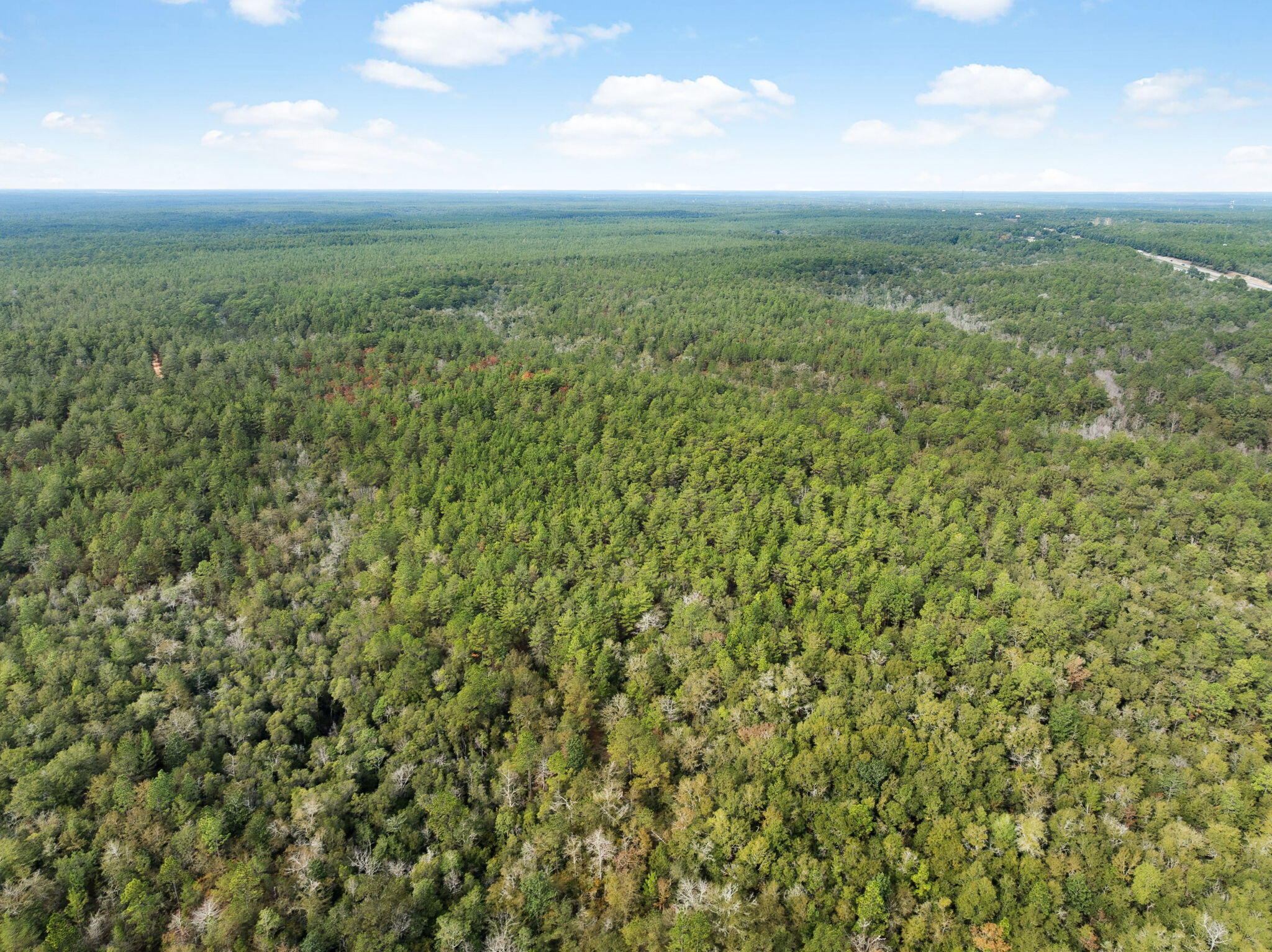 0 Boy Scout Road DeFuniak Springs, FL 32435 - Photo 17 of 27 a view of a green field with an ocean