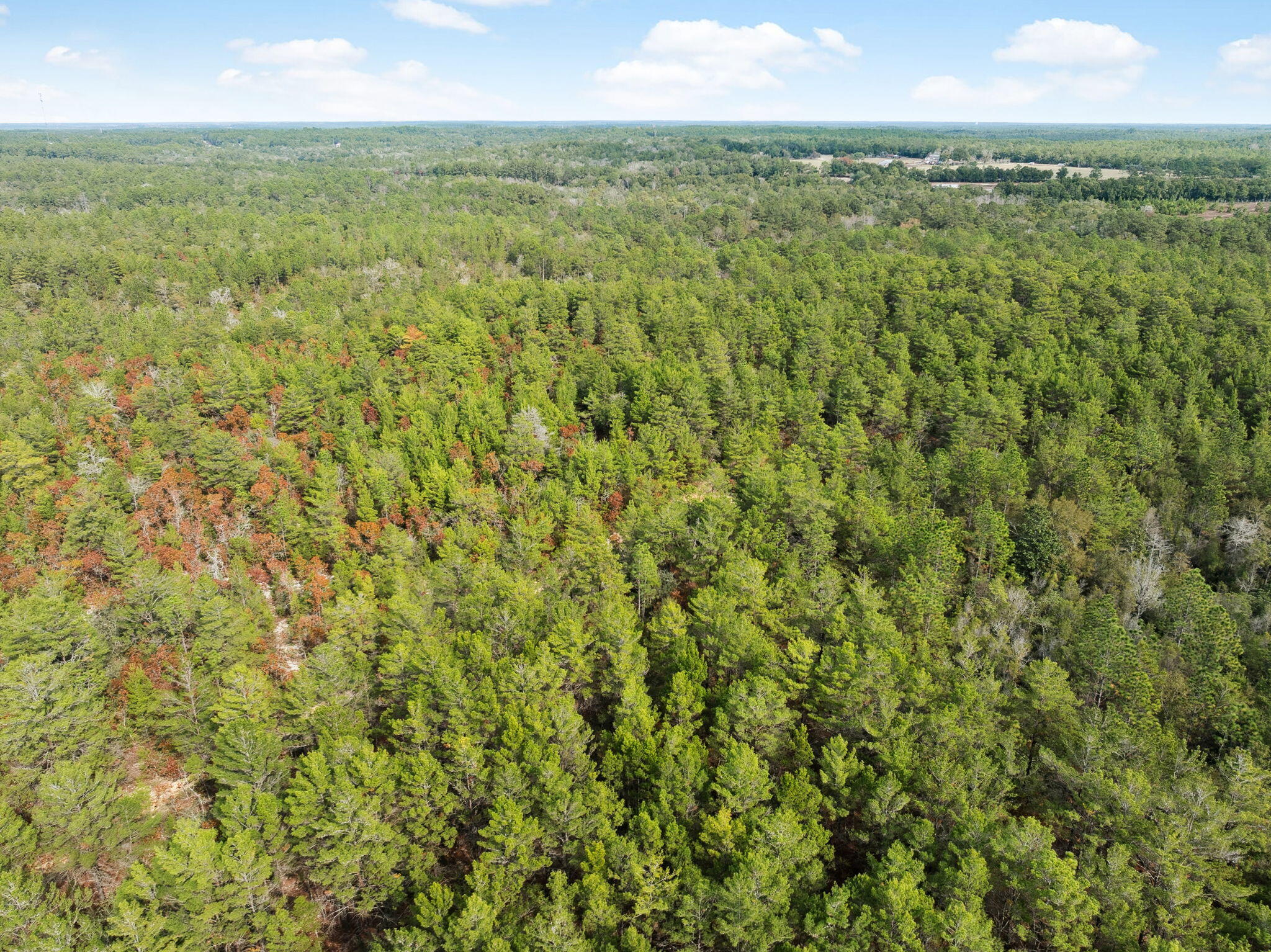0 Boy Scout Road DeFuniak Springs, FL 32435 - Photo 18 of 27 a view of a yard with an outdoor space