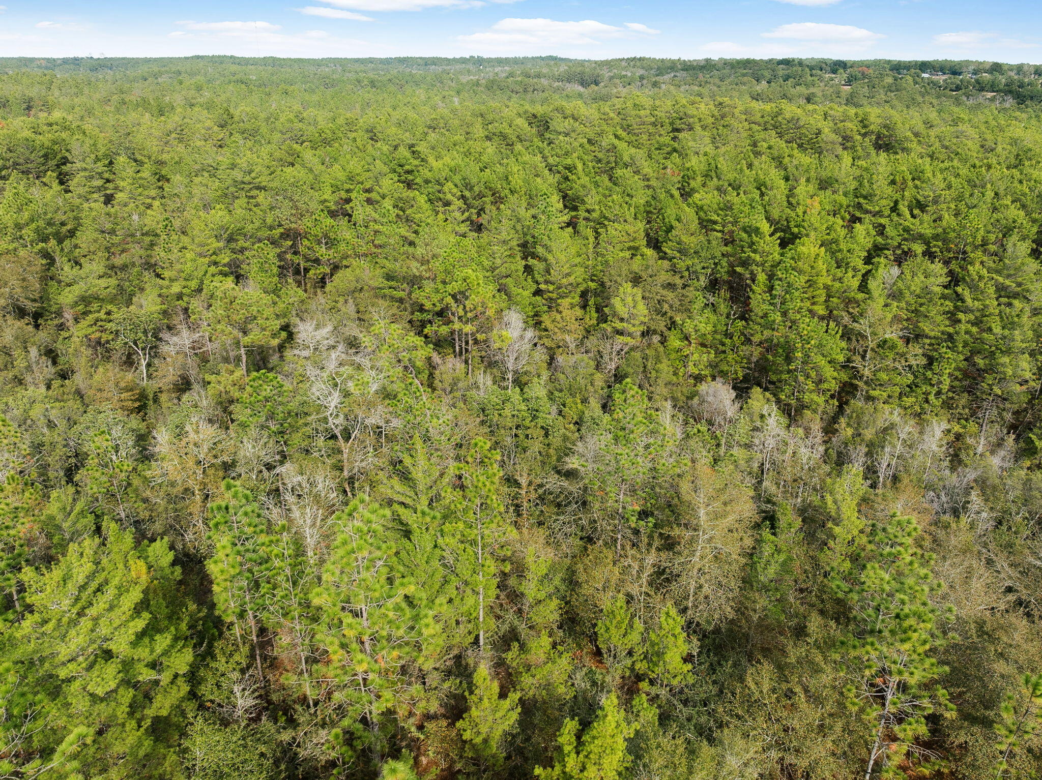 0 Boy Scout Road DeFuniak Springs, FL 32435 - Photo 19 of 27 a view of a field with an outdoor space
