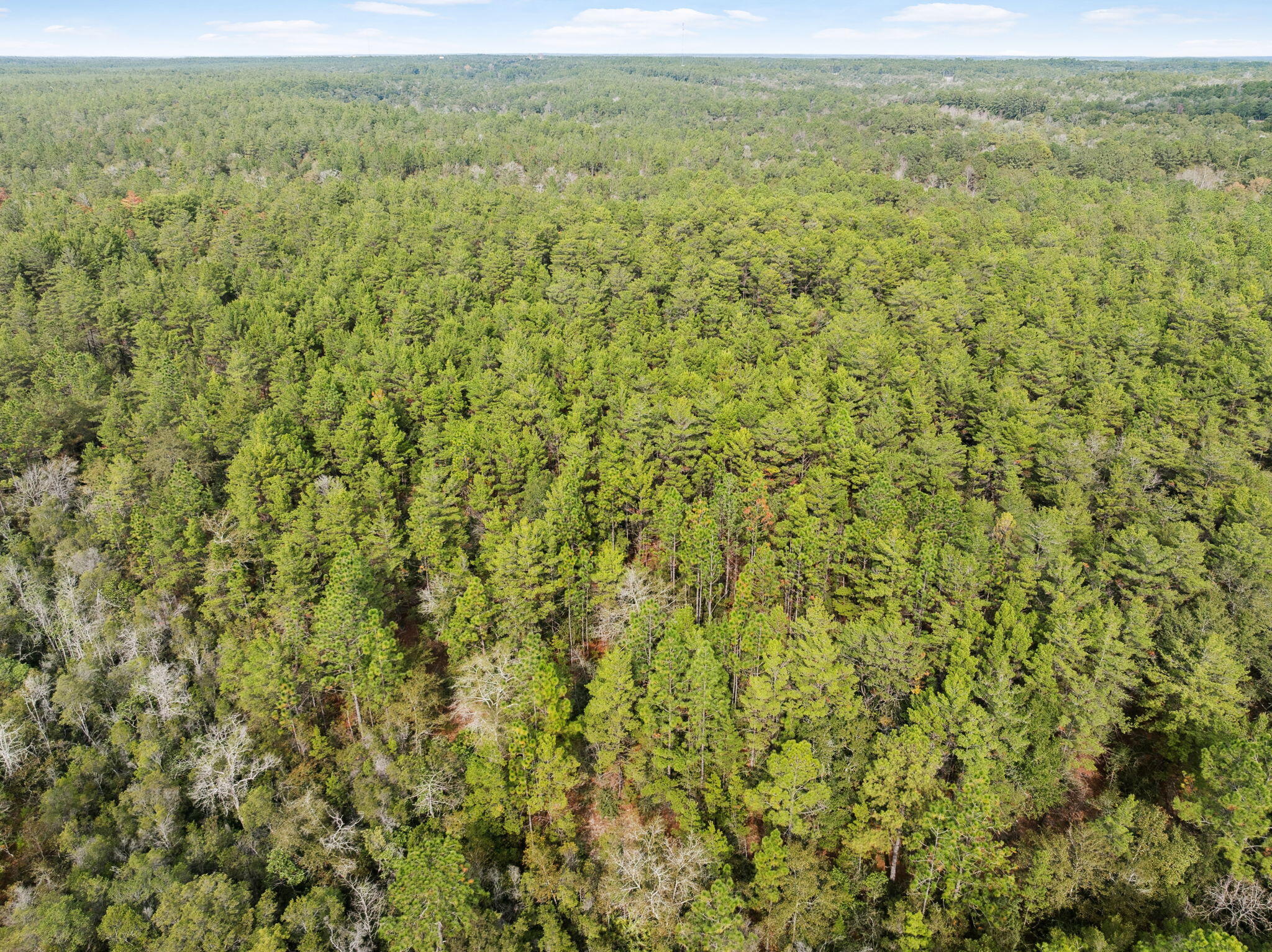 0 Boy Scout Road DeFuniak Springs, FL 32435 - Photo 20 of 27 a view of a field with an outdoor space